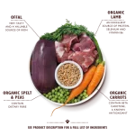 کنسرو سگ ارگانیک لیلیز کیچن | بره، خوک و بیف | 150 گرم - تمام نژادها | Lily's Kitchen Organic Lily's Kitchen Organic Lamb Supper (150g)