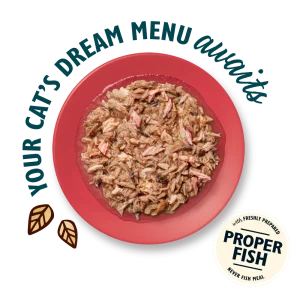 کنسرو گربه عقیم شده Lily's Kitchen | تن ماهی در آبگوشت | طبیعی و بدون غلات (70 گرم) Lily’s Kitchen Tuna with Salmon Shredded Fillets in Broth (70g)