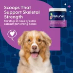 پودر تقویت روزانه از استخوان و مفاصل سگ نچر وت (آمریکایی) | کلسیم، فسفر ویتامین D NaturVet® Daily Bone Support Powder (formerly Calcium-Phosphorus)