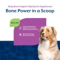 پودر تقویت روزانه از استخوان و مفاصل سگ نچر وت (آمریکایی) | کلسیم، فسفر ویتامین D NaturVet® Daily Bone Support Powder (formerly Calcium-Phosphorus)