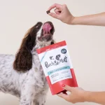 مکمل طبیعی پوست و مو و گوارش سگ Pooch&Mutt | (60عدد) | Postbiotic Gut-Skin Pooch & Mutt – Gut-Skin Support Supplement Natural, Postbiotic Gut-Skin Supplement
