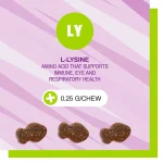 مکمل L-Lysine (اِل-لیزین) گربه  Pet Naturals (آمریکایی) | سیستم ایمنی، درمان عفونت چشم و تنفسی 100% طبیعی | 60 عدد  Pet Naturals L-Lysine - 60ct