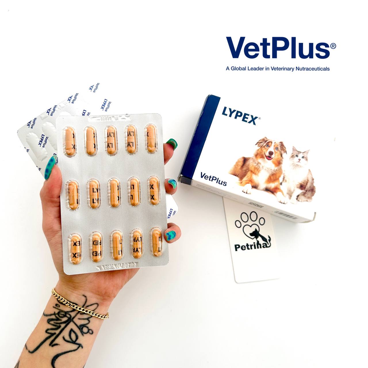 LYPEX® – VetPlus