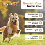 روغن سالمون سگ برند OurDogsLife |امگا 3، 6 و 9 - تقویت عملکرد مغز، قلب و سیستم ایمنی | 500 ml OurDogsLife Salmon Oil For Dogs