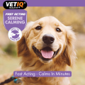 پماد آرامش‌ بخش فوری سگ VETIQ Serene Calming (انگلیسی) | ضد استرس (موضعی و خوراکی) VetIQ Healthy+ Serene Calming | Naturally Calms & Soothes | Fast Acting
