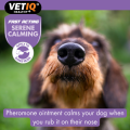 پماد آرامش‌ بخش فوری سگ VETIQ Serene Calming (انگلیسی) | ضد استرس (موضعی و خوراکی) VetIQ Healthy+ Serene Calming | Naturally Calms & Soothes | Fast Acting