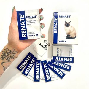 مکمل کلیه گربه VetPlus RENATE | کرنبری و ویتامین‌های گروه B | ساشه 2 گرم - پودری پتشاپ پترینا