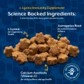 مکمل ال-لیزین گربه L-Lysine برند NaturVet | سیستم ایمنی، سلامت تنفسی و سلامت طبیعی چشم | 60 عدد NaturVet L-Lysine with Antioxidants for Cats