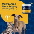 مکمل سیستم ایمنی سگ و گربه Mushroom Max Immunity برند NaturVet | ترکیبی از قارچ‌ های مفید و آنتی‌ اکسیدان‌‌ها | 100% طبیعی - 60 عدد