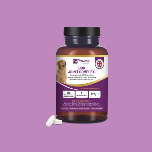 مکمل مفاصل و غضروف سگ Joint Complex برند Prowise | سلامت مفاصل، استخوان‌ها و تحرک | 150 عدد Prowise Healthcare Dog Joint Complex 150 Chewable Tablets