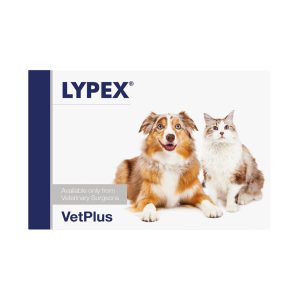 کپسول LYPEX® VetPlus برای سگ و گربه | پشتیبانی از عملکرد دستگاه گوارش