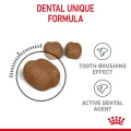 غذای دنتال گربه Royal Canin Dental Care