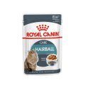 Hairball Care Gravy Wet Food For Cat
