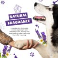 فوم پاک‌ کننده پنجه سگ OurDogsLife Paw Cleaner | شامپوی بدون آب با برس سیلیکونی پنجه