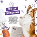 فوم پاک‌ کننده پنجه سگ OurDogsLife Paw Cleaner | شامپوی بدون آب با برس سیلیکونی پنجه