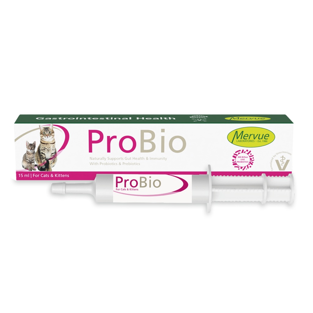 Mervue PRO BIO CATS AND KITTENS | Digestive Support